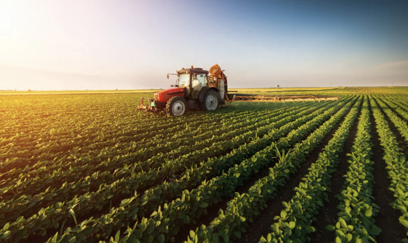 Exploitants agricoles et viticoles : restructuration, audit, indemnités, extensions, baux